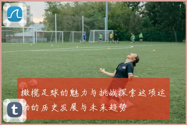 橄榄足球的魅力与挑战探索这项运动的历史发展与未来趋势