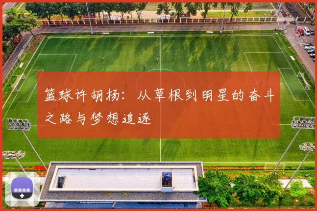 篮球许胡杨：从草根到明星的奋斗之路与梦想追逐