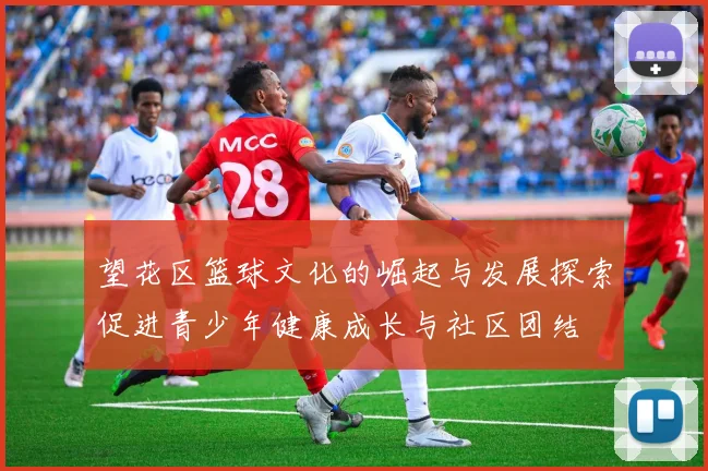 望花区篮球文化的崛起与发展探索促进青少年健康成长与社区团结