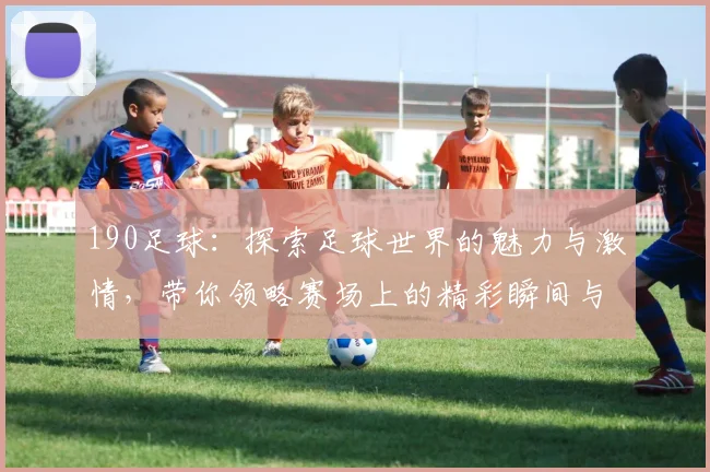 190足球：探索足球世界的魅力与激情，带你领略赛场上的精彩瞬间与球员风采