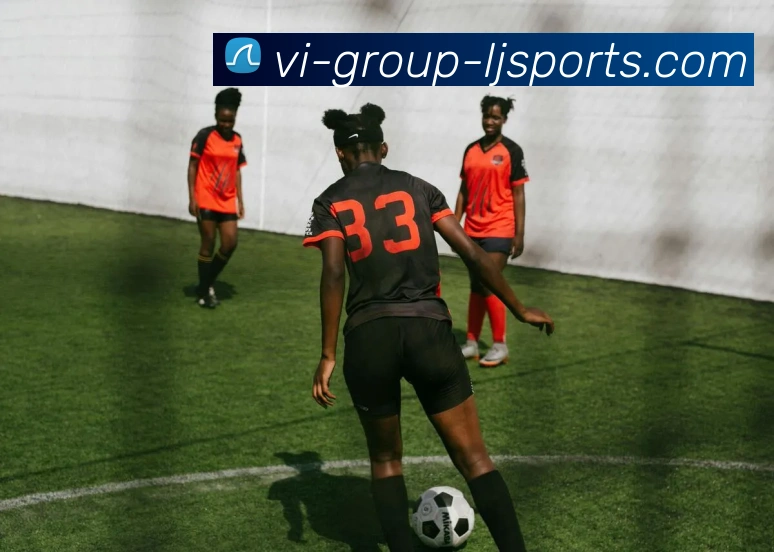 乐竞平台平台生态图